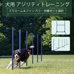 【スーパーSALE 期間限定6/3 20:00~point 10倍】犬用アジリティ トレーニング 犬ドッグアジリテ 知育玩具 障害物 自立・組立式 どこでも設置 トレーニング しつけ ドッグラン 運動用障害物 犬用アジリティ 持運びキャリーバッグ付き