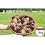 ふるさと納税 季節限定　ビーツ（シリンドラ）3kg【B10404】 北海道愛別町