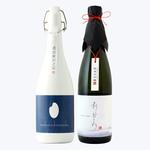 父の日 お中元 2025日本酒 飲み比べ ギフト 贈り物 プレゼント 男性 女性 上司【純米大吟醸 棚田コシヒカリ幻の酒(今代司)】×【純米大吟醸 おかみ】720ml×2本セット 退職祝い 新潟地酒 誕生日 内祝い お返し 結婚祝い 出産祝い お酒 高級 おすすめ 化粧箱入り お祝い